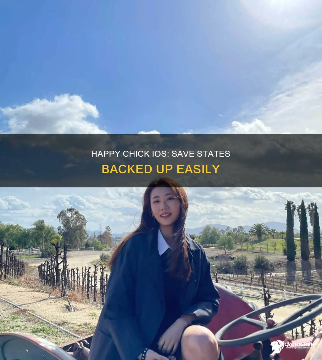 how to backup save states on happy chick ios