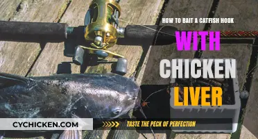 Catfish Baiting: Chicken Liver Hooking Techniques