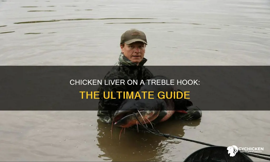 how to bait a treble hook with chicken liver