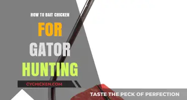 Effective Chicken Baiting Techniques for Successful Gator Hunting Strategies