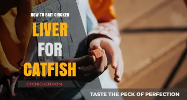 Mastering Catfish Baiting: Effective Techniques Using Chicken Liver