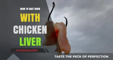 Mastering the Art of Baiting Hooks with Chicken Liver for Fishing Success