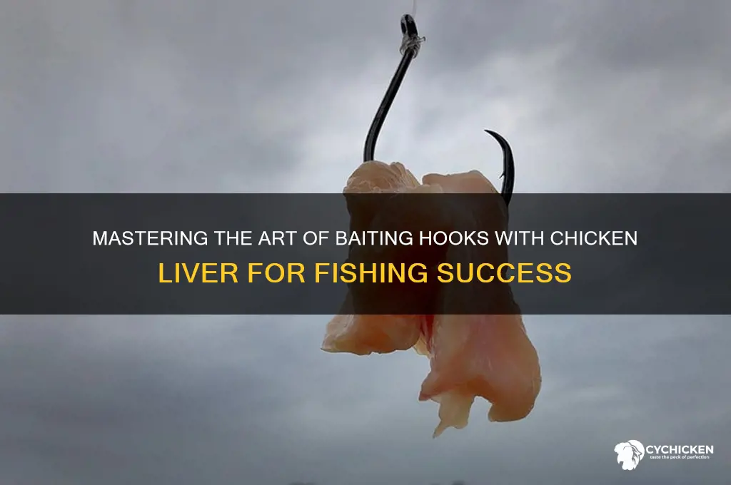 how to bait hook with chicken liver