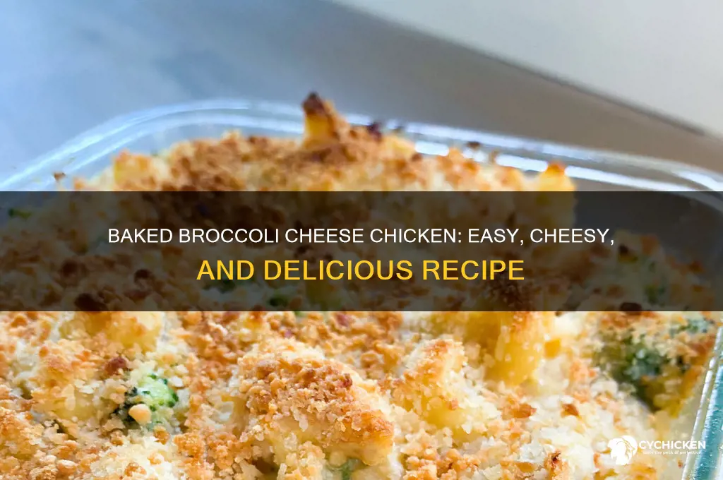 how to bakebroccoli and cheese in chicken