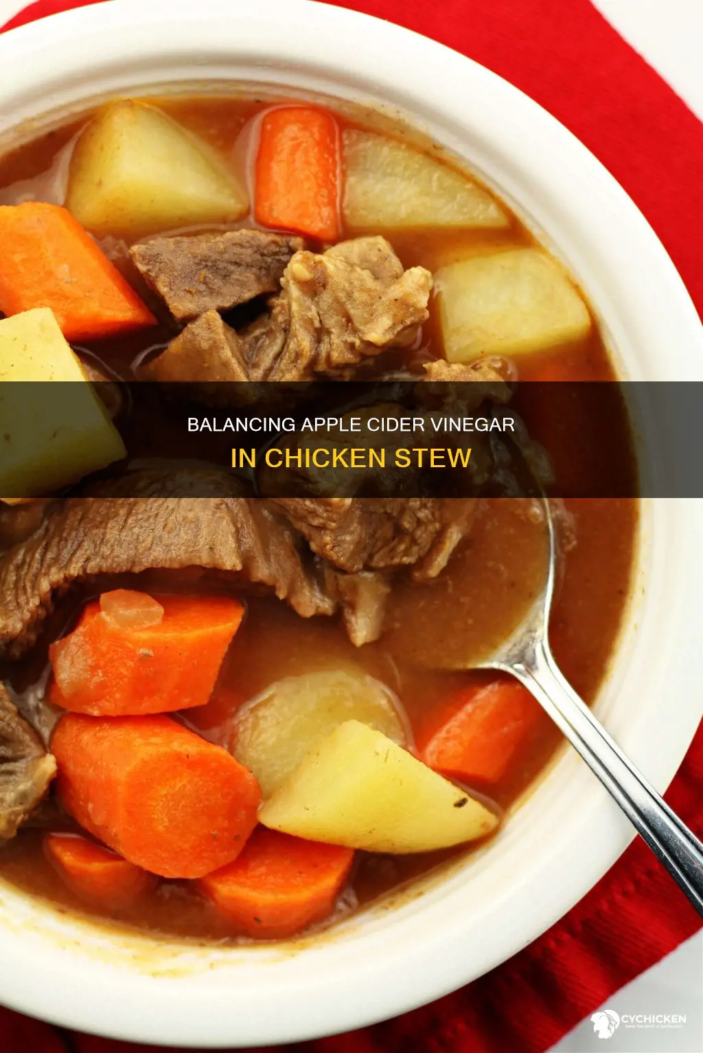 how to balance apple cider vinegar in chicken stew