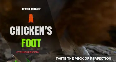 Caring for Your Flock: A Guide to Bandaging a Chicken's Foot