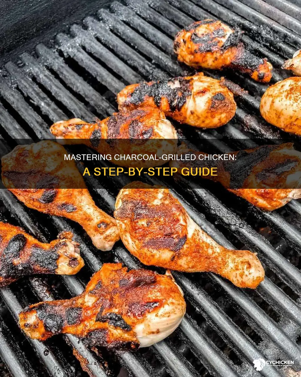 how to barbecue on charcoal bone in skinless chicken