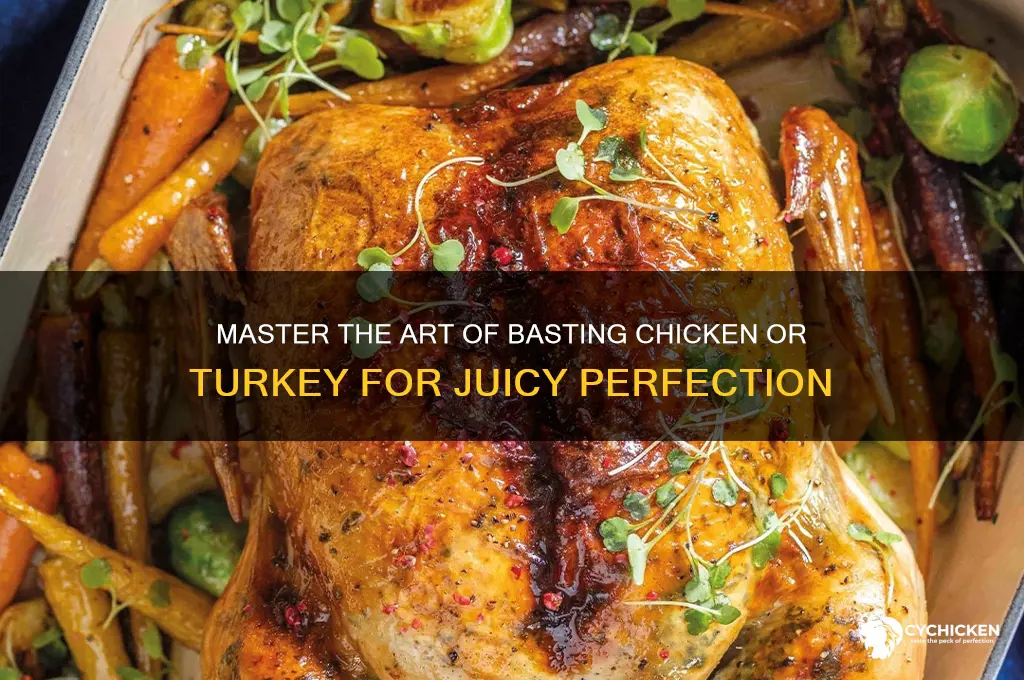 how to baste a chicken or turkey
