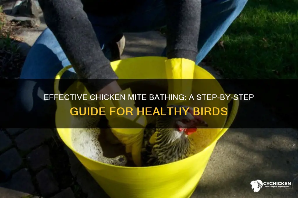 how to bathe a chicken for mites
