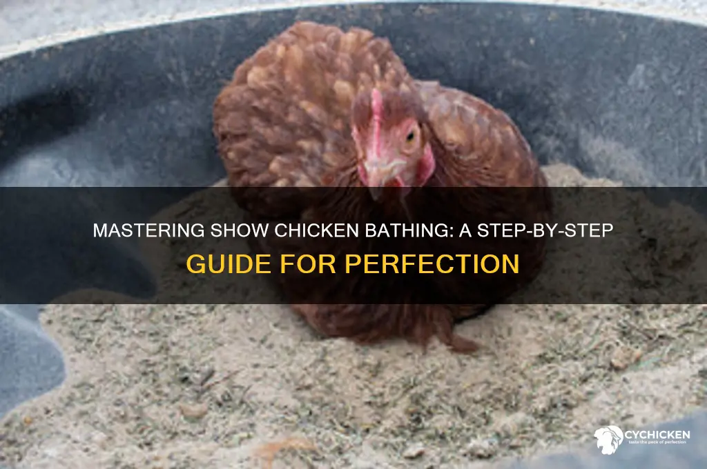 how to bathe a chicken for show