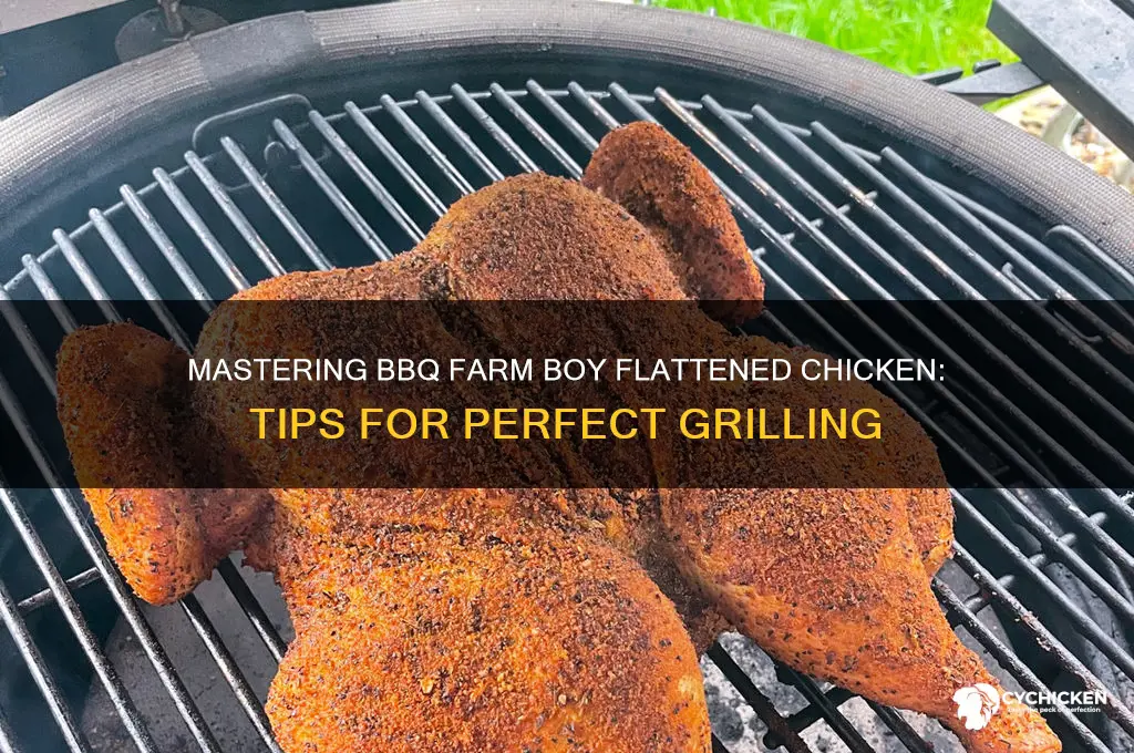how to bbq farm boy flattened chicken