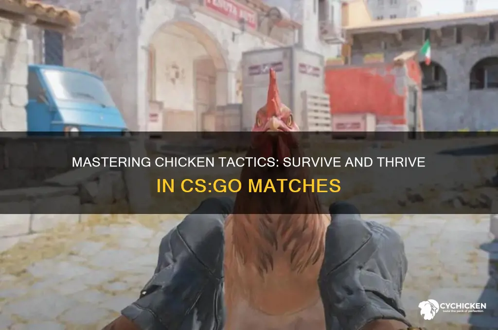 how to be a chicken cs go