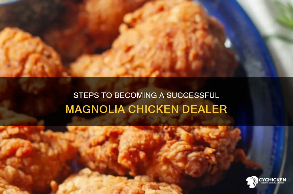 how to be a magnolia chicken dealer