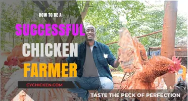 Mastering Chicken Farming: Tips for a Thriving and Profitable Flock