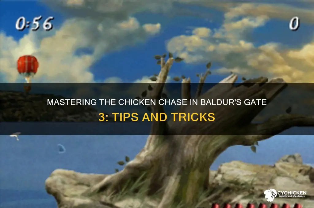 how to beat the chicken chase bg3