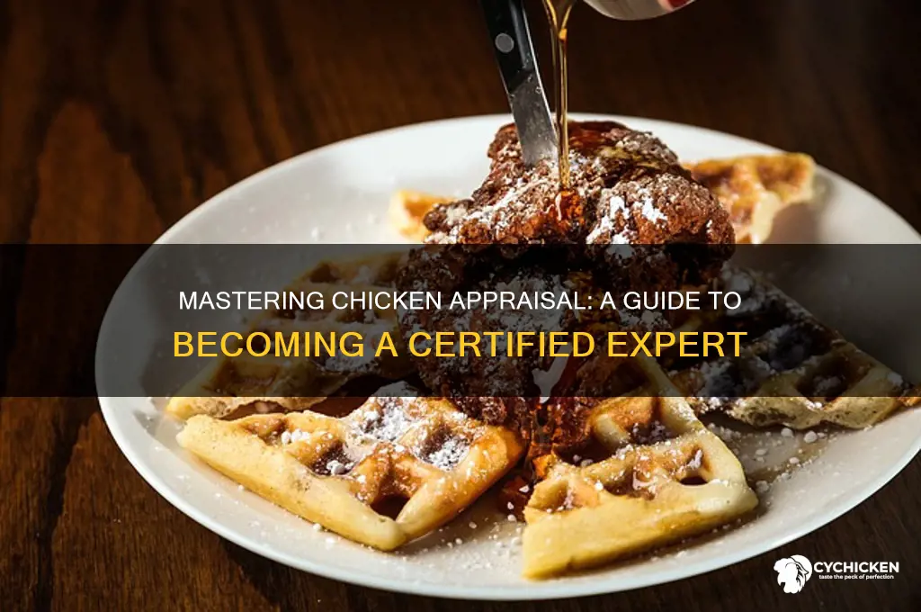 how to become a chicken appraiser chicken