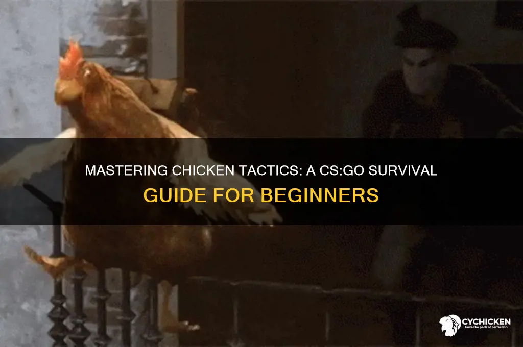 how to become a chicken in csgo