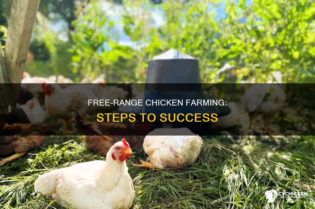 how to become a free range chicken farmer
