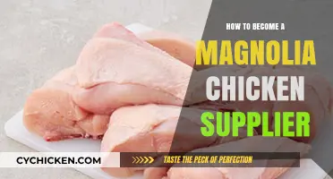 Steps to Becoming a Successful Magnolia Chicken Supplier