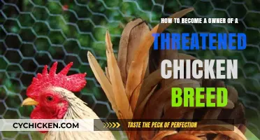 Saving Threatened Chicken Breeds: Become a Proud Owner
