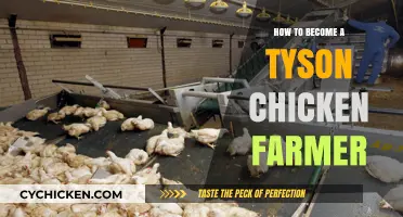 Mastering Tyson Chicken Farming: A Step-by-Step Guide to Success