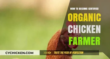 Master Organic Chicken Farming: Certification Guide for Sustainable Success