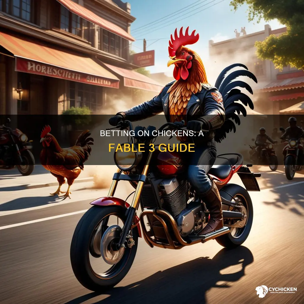 how to bet on chicken races in fable 3
