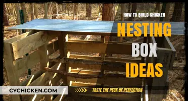 DIY Chicken Nesting Box Ideas for Happy, Healthy Hens