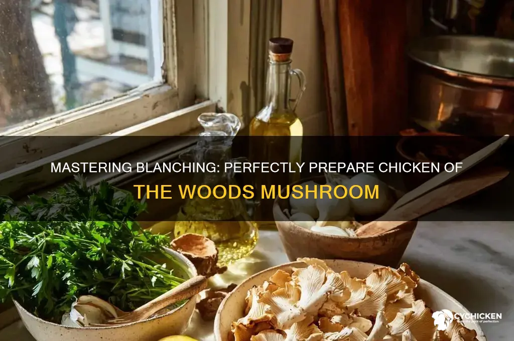 how to blanch chicken of the woods