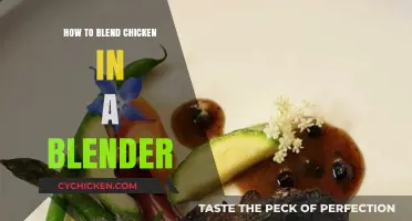 Blending Chicken in a Blender: Tips for Smooth and Safe Results