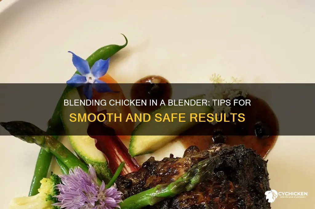 how to blend chicken in a blender