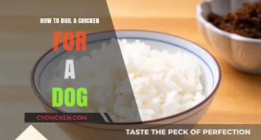 The Perfect Chicken Broth for Your Dog's Health