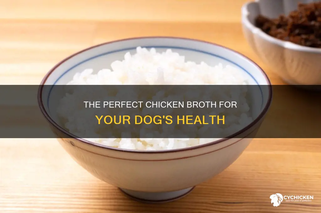 how to boil a chicken for a dog