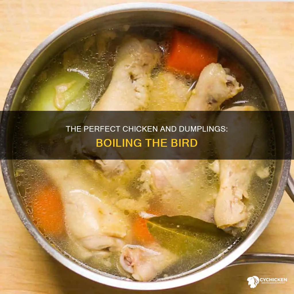 how to boil a chicken for chicken and dumplings