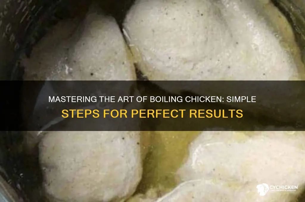 how to boil a piece of chicken