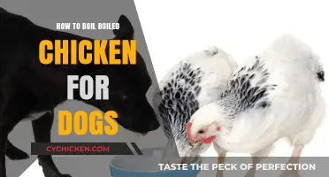 Simple Steps to Safely Boil Chicken for Your Dog's Diet