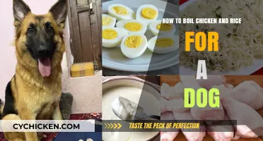 Simple Chicken and Rice Recipe for Your Dog
