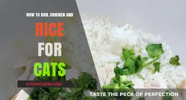 The Perfect Chicken and Rice Recipe for Cats