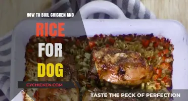 The Perfect Chicken and Rice Recipe for Your Dog