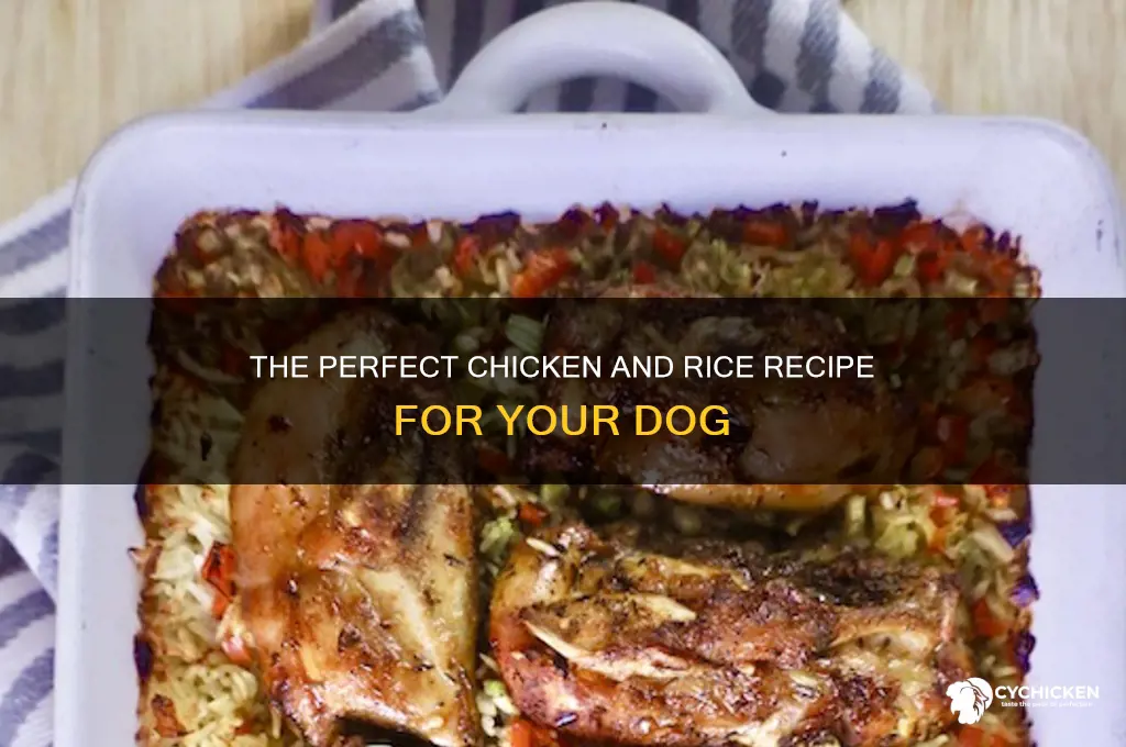 how to boil chicken and rice for dog