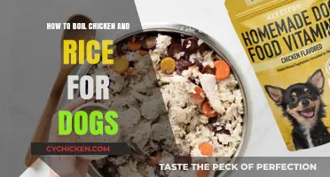 Easy Homemade Dog Food: Boiling Chicken and Rice for Your Pup