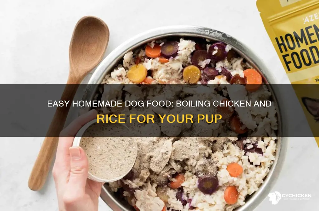 how to boil chicken and rice for dogs