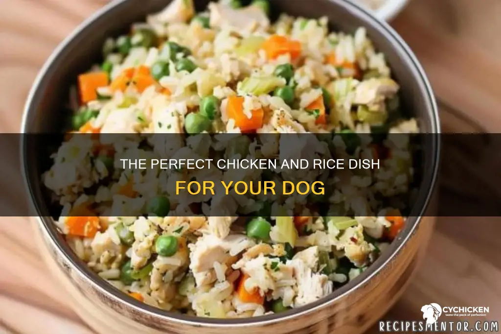 how to boil chicken and rice together fir digs