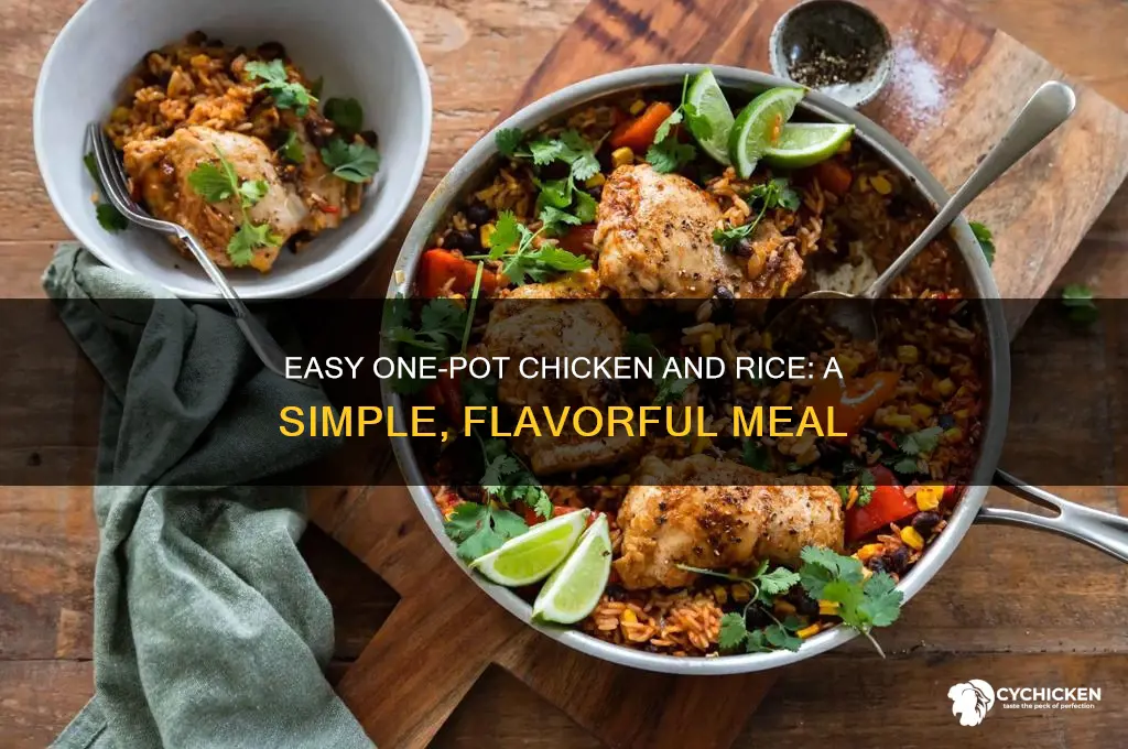 how to boil chicken and rice together