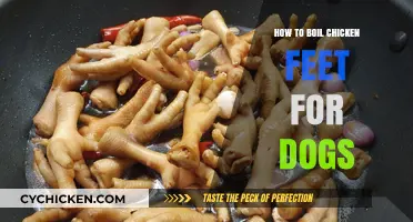 Nutritious Chicken Feet Treats: A Simple Boiling Guide for Dogs