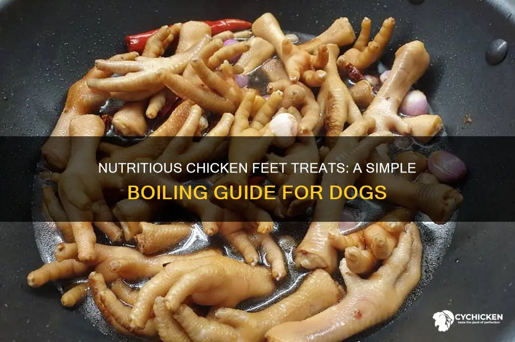 how to boil chicken feet for dogs