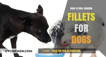 Boiling Chicken Fillets for Dogs: Simple, Healthy, and Safe Recipe