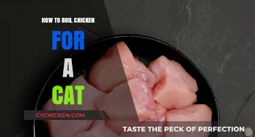 Purr-fectly Simple: Boiling Chicken for Your Feline Friend's Diet