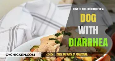 Boiling Chicken for Dogs: A Diarrhea Remedy