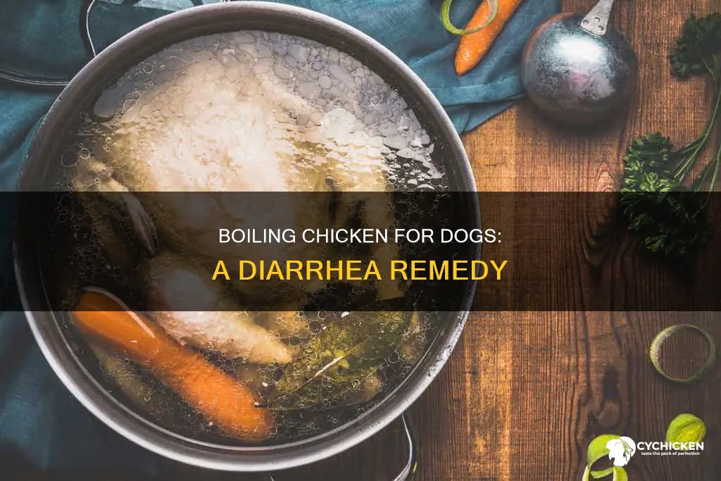 how to boil chicken for a dog with diarrhea
